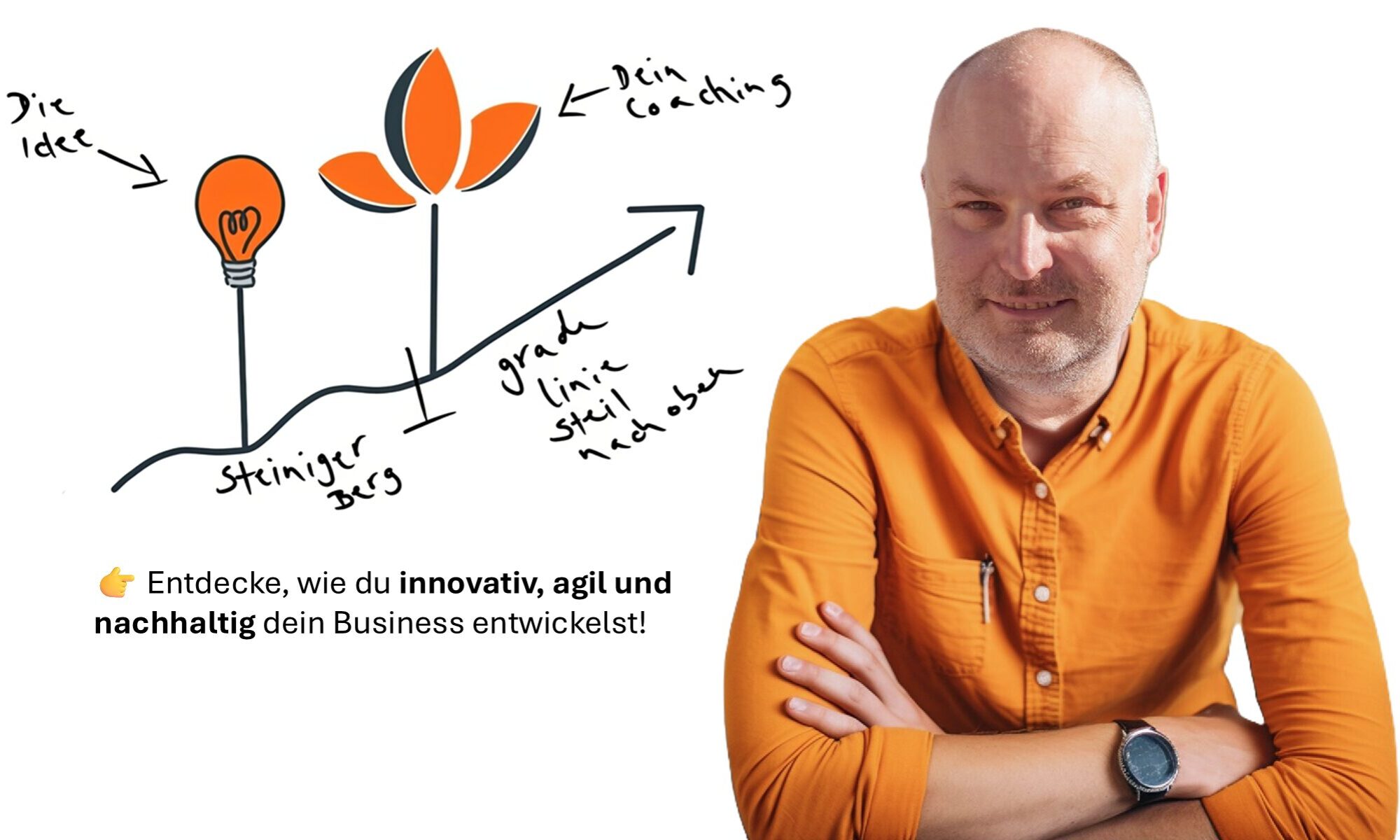 Wilfried Häring – www.wilfriedhaering.de – Business Coach, Lean Startup und Design Thinking Coach